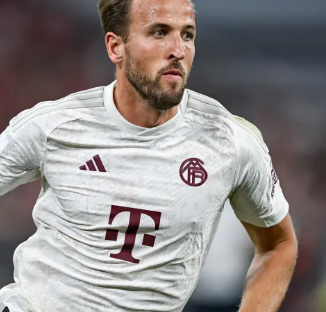 媒体与自媒 媒体与自媒